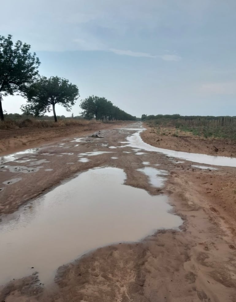 Las esperadas lluvias pronosticadas por la Dirección Nacional de Meteorología finalmente se produjeron desde anoche en todo el departamento de Boquerón cubriendo gran parte de sus localidades.