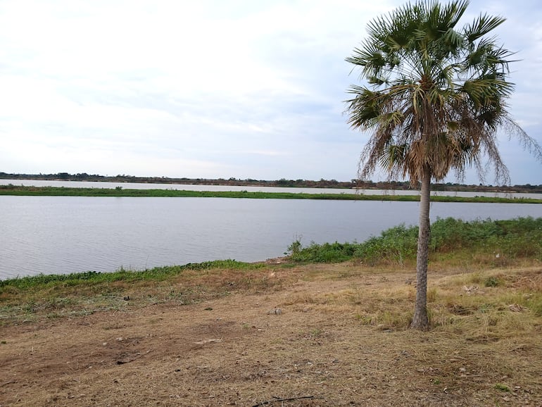 Prolongada bajante del río Paraguay en la zona norte.