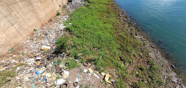 Todo tipo de basura van a para al cauce del río Paraná. 