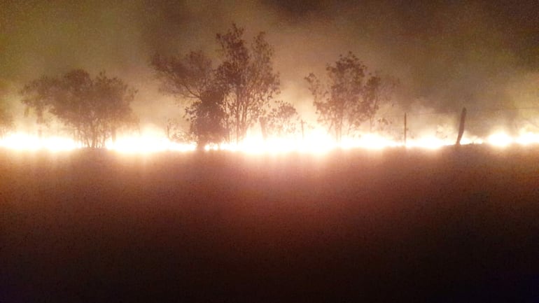 Temen que el incendio llegue a los humedales del Ypoá.