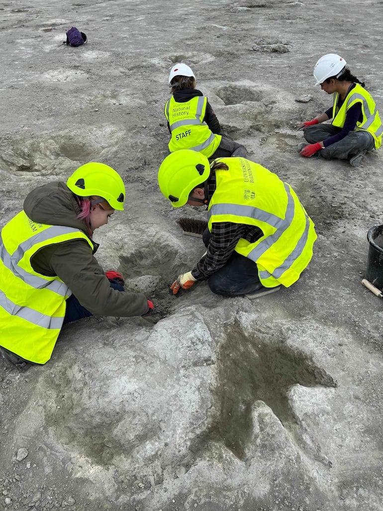 Fotografía tomada por la paleontóloga de vertebrados Dra. Emma Nicholls y publicada por el Museo de Historia Natural de Oxford el 2 de enero de 2025, muestra a miembros del equipo de excavación trabajando en las huellas en la cantera Dewars Farm, al norte de Oxford, en el centro de Inglaterra, el 17 de junio de 2024.