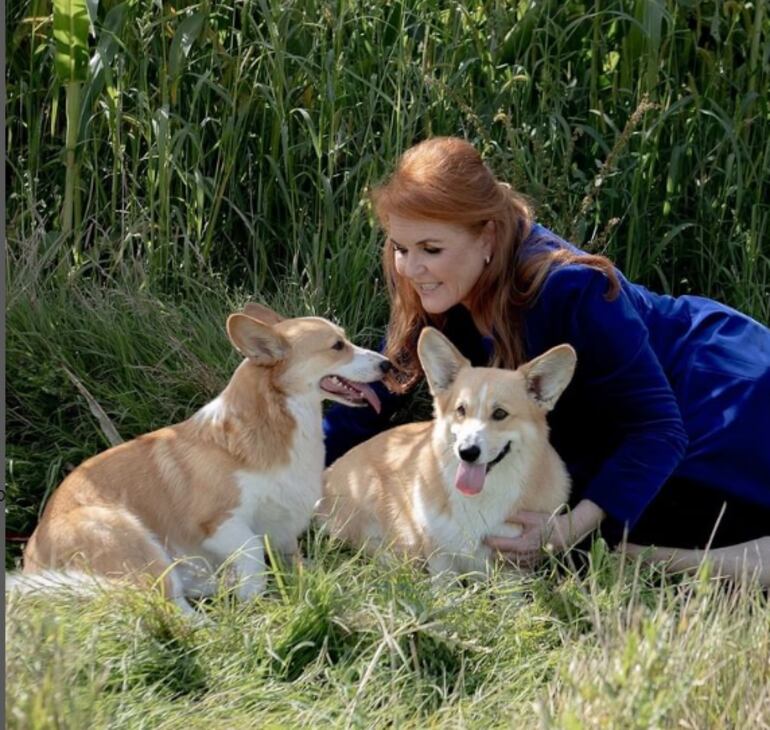 A un año de la muerte de la reina Isabel II, la duquesa de York, Sarah Ferguson muestra cómo están los corgis de la monarca.