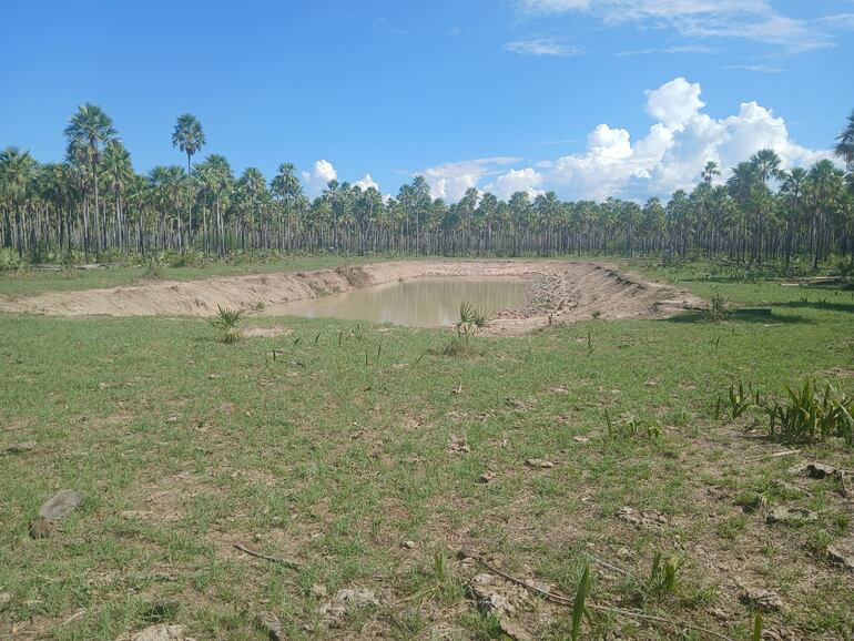 Los pequeños aguaceros no ayudan a llenar los tajamares de establecimientos ganaderos y de comunidades cuyos pobladores dependen de este tipo de reservorio.