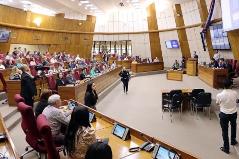 Una nutrida presencia se registró esta mañana en la audiencia para debatir la creación del Registro Unificado Nacional (RUN).