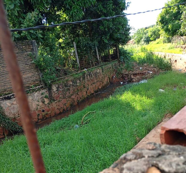 El canal del arroyo Capilla que cruza el área urbana de Carapeguá está colmatado y en la Municipalidad no atienden los pedidos de limpieza hechos por afectados, según denunciaron.