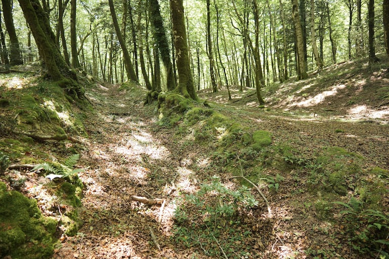 REGGIO CALABRIA, 23/07/2024.-Un grupo de investigadores encontró en un área boscosa de la región de Reggio Calabria (sur de Italia) una muralla de 3 kilómetros de longitud datada en tiempos de la rebelión de Espartaco, el mayor levantamiento de esclavos en la Antigua Roma, informó este martes el Ministerio de Cultura. Se trata de un muro que atraviesa el bosque de Dossone della Melia, "salvando fuertes desniveles, una meseta y, en el tramo final, incluso un arroyo", señaló el Ministerio en un comunicado, en el que explica que la estructura, construida en el 72 a.C., sirvió "para contener a los rebeldes liderados por Espartaco".-EFE/ Ministerio de Cultura de Italia ***SOLO USO EDITORIAL/SOLO DISPONIBLE PARA ILUSTRAR LA NOTICIA QUE ACOMPAÑA (CRÉDITO OBLIGATORIO)***
