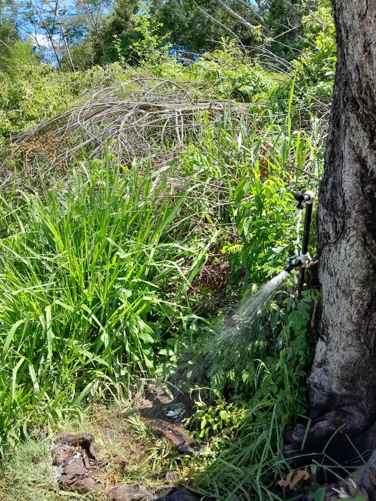 En el barrio San Blas tienen una canilla pública de donde se surten de agua potable.