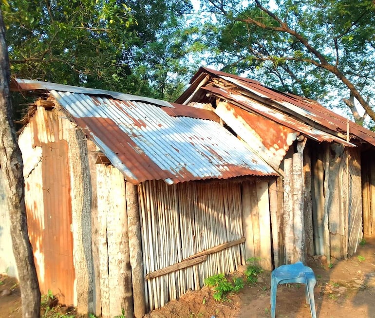 La choza construida con maderas y tacuara. Tiene techo de zinc que con cada lluvia gotea.