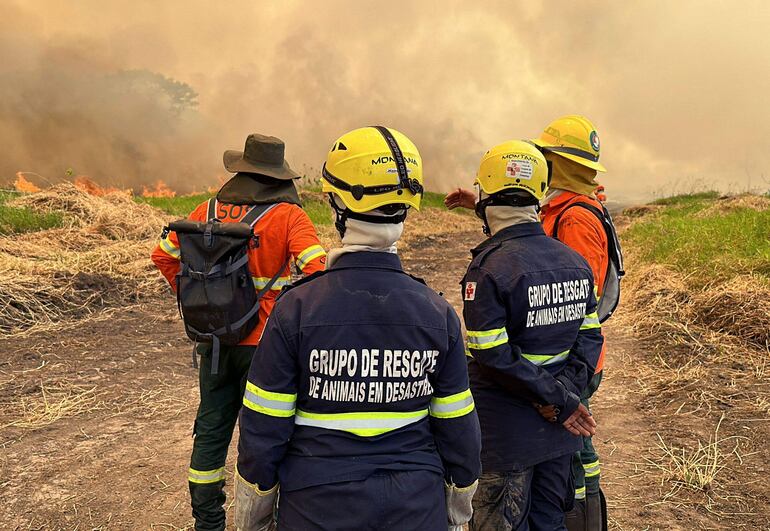 Bomberos forestales combaten los incendios considerados "incontrolables" por las autoridades de Brasil en el Pantanal brasileño, en Porto Jofre, región del estado de Mato Grosso. (AFP)