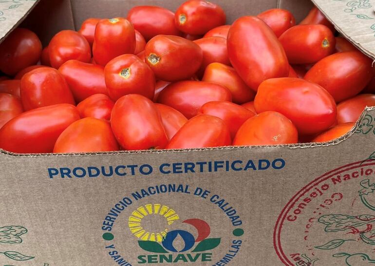 Tomate ofrecido en la feria del MAG, con participación activa del ministro Carlos Giménez,  el 21 de noviembre de 2023, con cerfiticado del Senave, que "asegura" que  es de producción paraguaya.