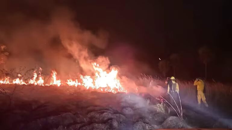 Grandes incendios forestales se están registrando a nivel nacional. Foto de sinistro en Central.