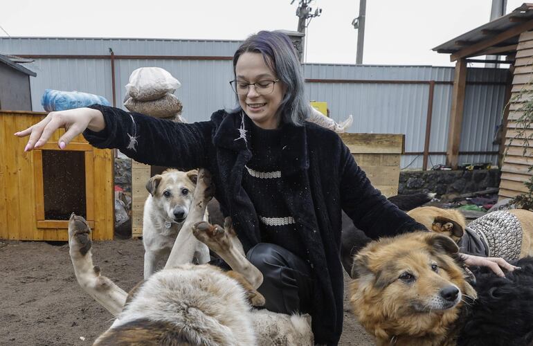 Una voluntaria interactúa con perros en un refugio. 