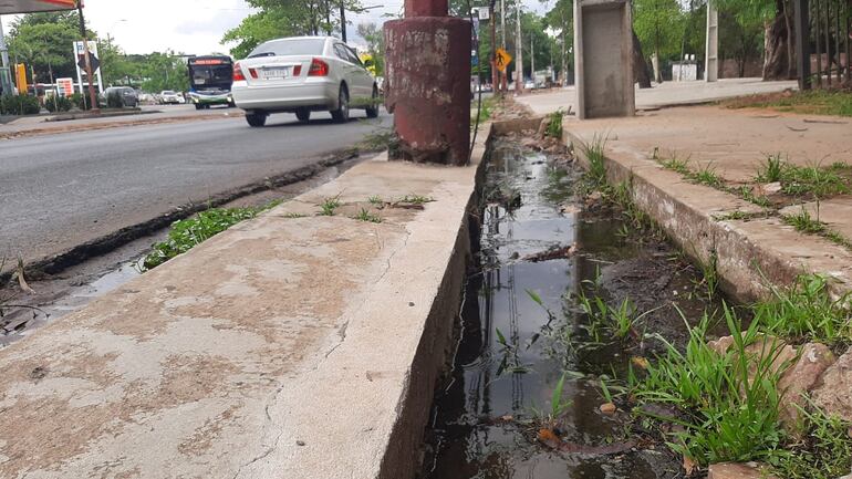 El agua residual recorre en canal de cielo abierto y luego va a parar en las aguas del arroyo San Lorenzo.