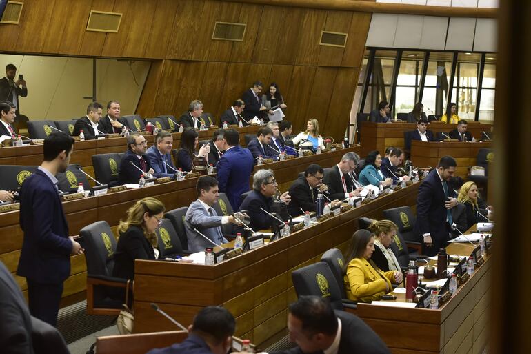 Las diferentes bancadas de la Cámara de Diputados designaron a sus representantes para las comisiones para analizar la intervención de tres municipios.