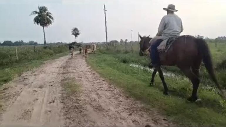 Un hombre intentó abusar sexualmente de una mujer en el interior de un establecimiento ganadero. (Imagen referencial)