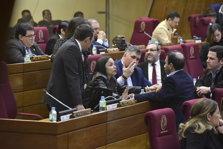 La Cámara de Diputados podría estudiar hoy en sesión ordinaria el proyecto de Ley contra Organizaciones No Gubernamentales (ONG), que posee graves problemas advertidos por el Ejecutivo, que sobre la hora sugirió reformas.