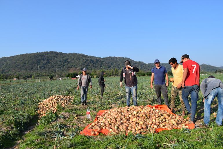 La agricultura familias se fortalecerá de nuevo con la gestión del Director de la DEAG, Meza.