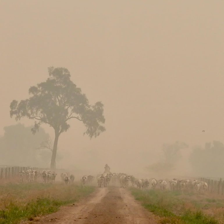 El humo cubre gran parte del Chaco paraguayo. GENTILEZA