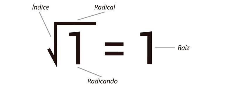 Cuadrados perfectos y raíz cuadrada.