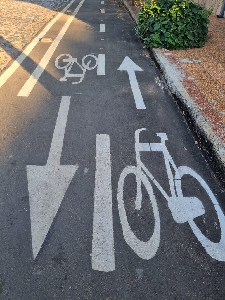 Bicisenda señalizada sobre la calle Sousa.