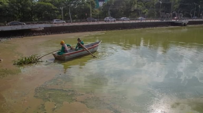 El lago de la República está verde: exceso de algas no generó contaminación, dicen