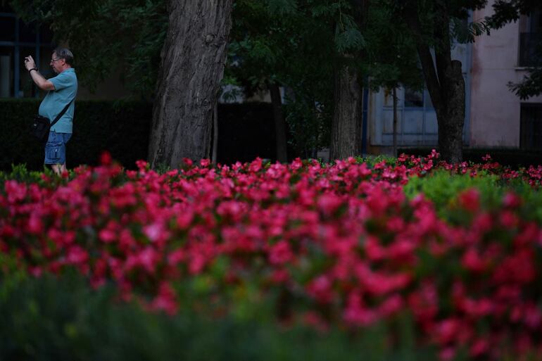 Fertilización en plantas con flores.