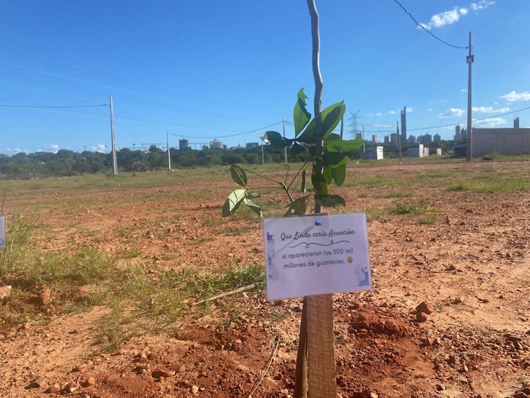 “Qué linda sería Asunción si aparecieran los G. 500 mil millones”: jóvenes se plantan contra “Nenecho”