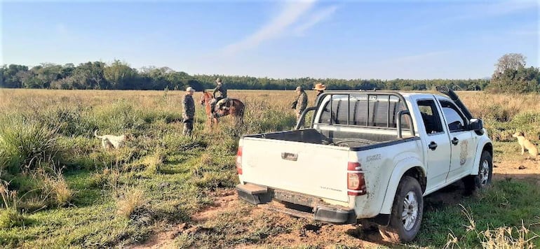 Brigada Antiabigeato intensifica la búsqueda de vacunos desaparecidos de una estancia de Caballero.