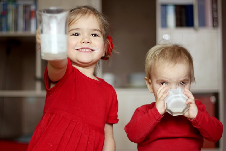 La leche es el primer alimento del bebé y uno de los más consumidos de la humanidad.