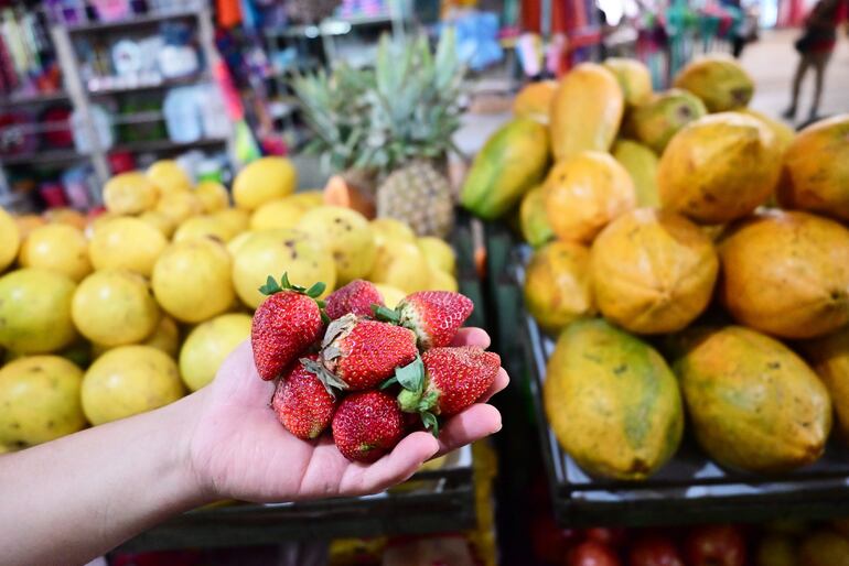 El mercado se caracteriza con contar con frutas de estación, frescas, directas del campo.