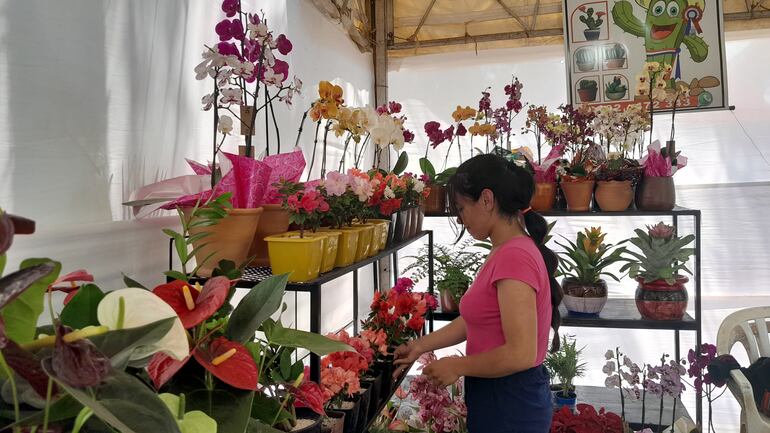 La oferta de plantas es infaltable en la expoferia de Villeta. Se puede adquirir los plantines desde G. 5 mil.