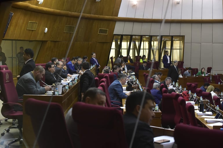 Cámara de Diputados tratará proyecto de Ley anti-ONG.