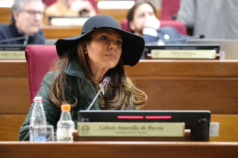 La senadora Celeste Amarilla (PLRA) en la sala de sesiones del Senado. (Imagen de archivo). La parlamentaria pidió más medidas de protección y dijo que teme por su vida.