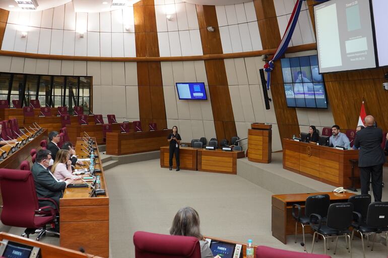 Reunión de trabajo de la Comisión de Entes Binacionales Hidroeléctricos de la Cámara de Diputados.