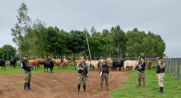 Efectivos policiales custodiando a los animales recuperados en Gral. Morínigo.