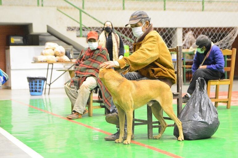 Algunos de los albergados acuden con sus mascotas.