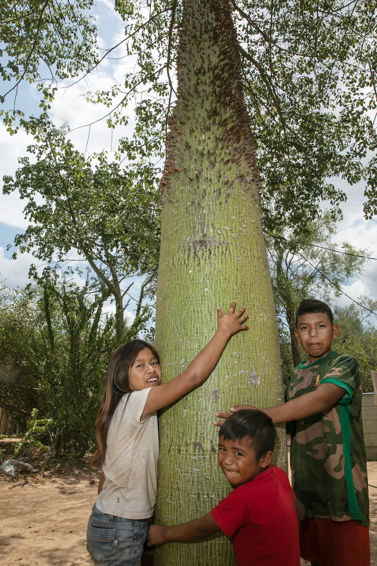 Niños indígenas de la comunidad Chaidi, del pueblo Ayoreo Totobiegosode. (Fapi)