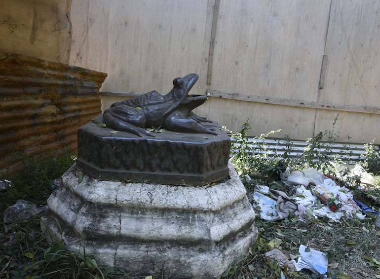 "El sapo", perdido entre terciadas. Se asocia al sapo con el agua y esto a las emociones y al cambio, como buen augurio.