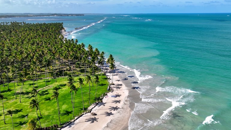 Praia dos Carneiros, Pernambuco, Brasil.