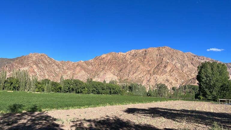 Contraste de colores entre la formación geológica imponente y la vegetación en Uspallata.