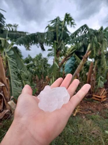 Temporal causó destrozos en casas y bananales de Tembiaporã