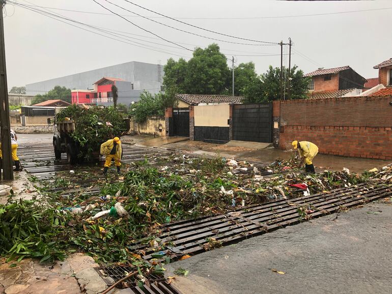 Varios kilos de basura tuvieron que ser retirados tras el temporal. Entre ellas, bolsas de basura domiciliara de inadaptados que la arrojan cuando empieza a llover.  En la foto se puede ver residuos y ramas en la zona de la EBA.