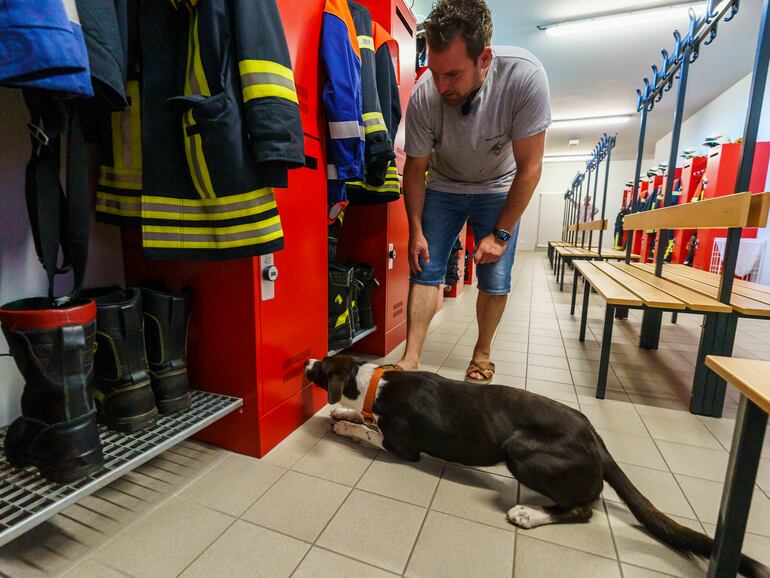 "Para nosotros es perfecta. Da vueltas, es salvaje y persistente, y eso era justo lo que necesitábamos", señala Lübbe-Scheuermann, que dirige una escuela canina junto con su marido en la ciudad de Griesheim, que se encuentra en el estado federado de Hesse, centro-oeste de Alemania.