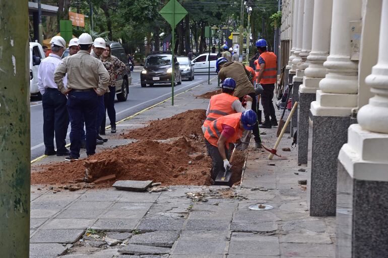 Tres empresas realizarán las excavaciones en las veredas de la calle Palma en forma simultánea.