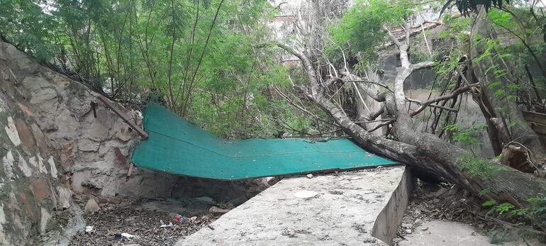 La valla había caído junto con el árbol. Vecinos dicen que se necesita un trabajo integral. 