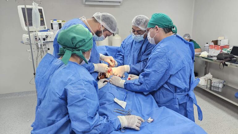 Un equipo de médicos trabaja en la extracción de piedra de la vesícula de un paciente