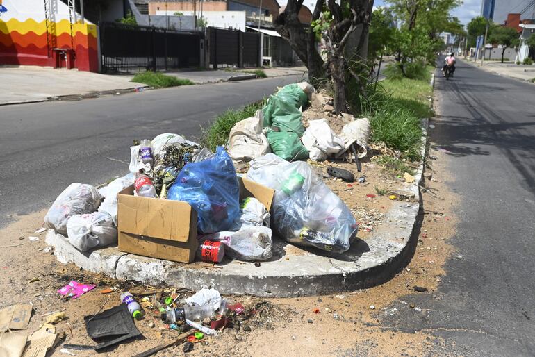 Sargento Fernández y Artigas lleno de basura en paseo central.