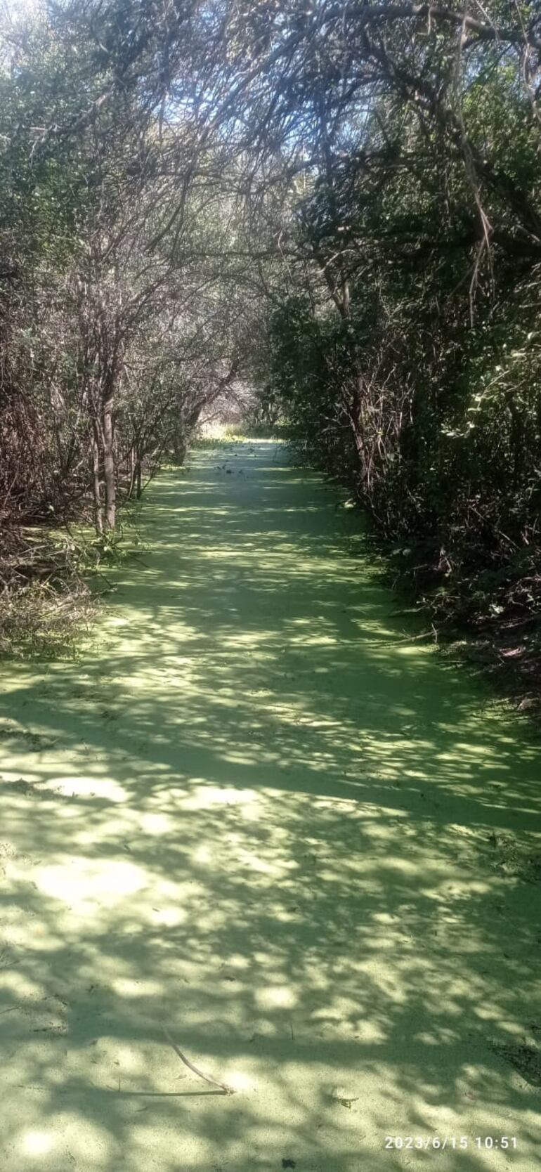 Sector inundado que obligó a la organización a recortar una PE.