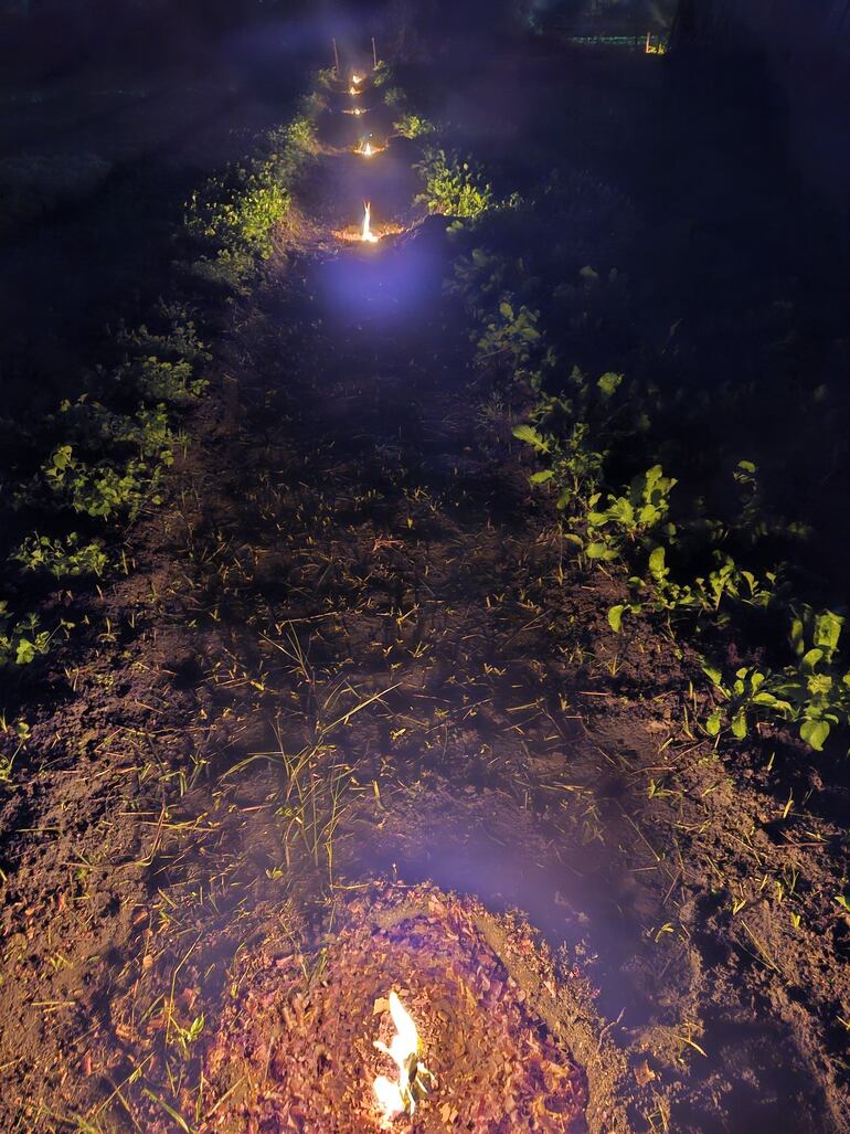 El horticultor instala pozos tipo chimeneas entre los cultivos.