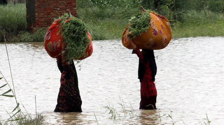 Personas vadean el agua de las inundaciones tras las fuertes lluvias en el distrito de Sanghar, provincia de Sindh, Pakistán. Las nuevas tecnologías, como la inteligencia artificial (IA), están mejorando nuestra comprensión del sistema terrestre y podrían ser elementos determinantes para frenar el cambio climático, dijo este miércoles la Organización Meteorológica Mundial (OMM), tras recordar que el mundo todavía está muy lejos de cumplir los objetivos climáticos.